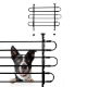 Premium Universal Dog Guard (Outer Ctn Qty: 4)