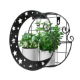 Solar Moon Wall Planter (Outer Carton: 8)