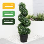 Solar Twist Topiary in Pot (Outer Ctn Qty: 1)