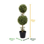 Solar Double Bay Ball Tree In Pot (Outer Ctn Qty: 1)