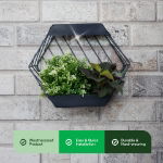 Solar Hex Wall Planter (Outer Carton: 6)