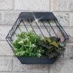 Solar Hex Wall Planter