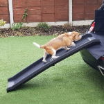 Foldable Pet Ramp (Outer Ctn Qty: 1)