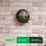 Solar Moon Wall Planter (Outer Carton: 8)