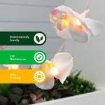 2m Solar Orchid Flower LED String Lights (12 Piece) (Outer Ctn Qty: 24)