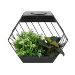 Solar Hex Wall Planter (Outer Carton: 6)
