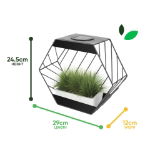 Solar Hex Wall Planter (Outer Carton: 6)