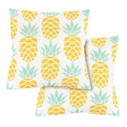 Outdoor Pair Of Scatter Cushions - Pineapple (Outer Ctn Qty: 18)