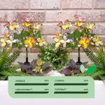 Solar Butterfly Stake Light (Pack of 2) (Outer Carton: 12)