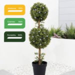 Solar Double Bay Ball Tree In Pot (Outer Ctn Qty: 1)