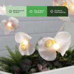 2m Solar Orchid Flower LED String Lights (12 Piece) (Outer Ctn Qty: 24)