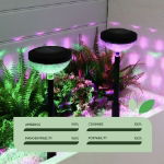 Solar Multi-Colour Stake Light (Pack of 2)