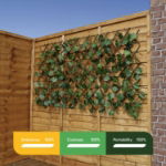 Solar Trellis (Outer Ctn Qty: 1)