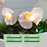 2m Solar Orchid Flower LED String Lights (12 Piece) (Outer Ctn Qty: 24)