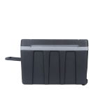 50L Thermoelectric Cooler & Warmer Box (Outer Ctn Qty: 1)