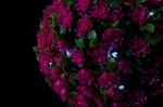 28cm Solar Mini Pink Rose Topiary Ball with LED Light