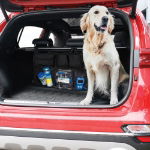 Deluxe Boot Organiser