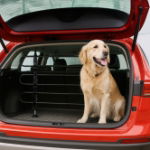 Premium Universal Dog Guard (Outer Ctn Qty: 4)