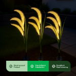 Solar Setaria Viridis Stake Light (Pack of 3) (Outer Carton: 12)