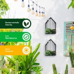 Solar House Wall Planter (Outer Carton: 4)